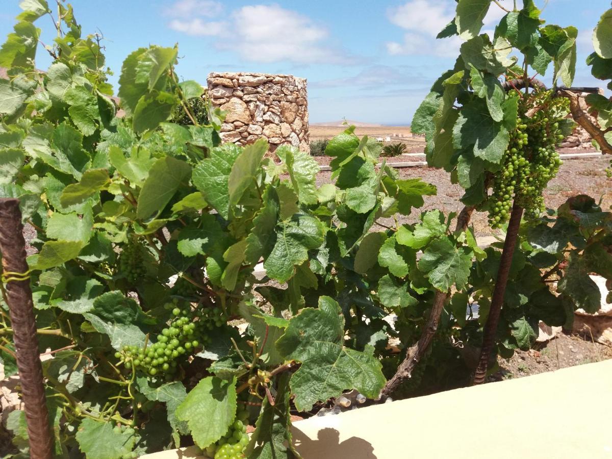 Country house La Vista De Tefia