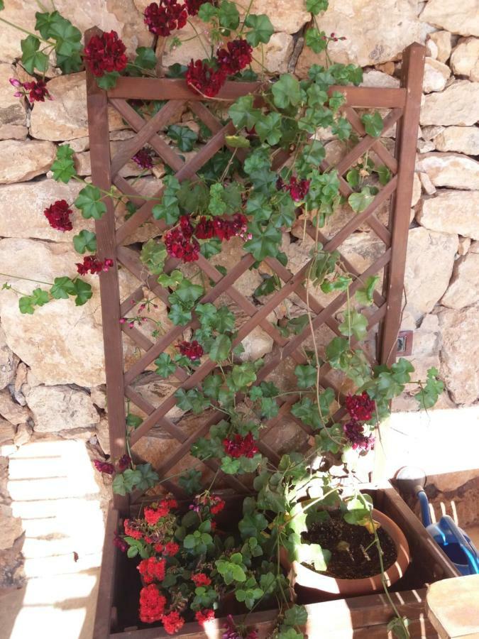 Casa di campagna La Vista De